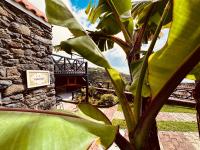 Typical House -Madeira Inn Group - B&B Calheta