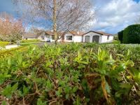 Lecale Bliss - B&B Downpatrick