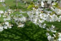 Casa con 2 Camere da Letto