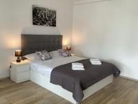 B&B Otopeni - Bucharest Airport Henri Coanda & Therme-SELF CHECK-IN - Bed and Breakfast Otopeni