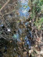 CASA SENDERO DEL RIO - Chambres d’hôtes El Bosque