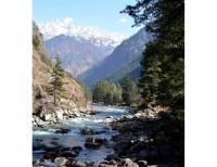 B&B Kasol - Hotel Deep Forest, Kullu - Bed and Breakfast Kasol