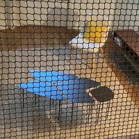 La Petite Maison du 9 - B&B Saint-Aignan