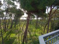 I Velieri - B&B