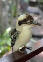 Casa con 2 Camere da Letto