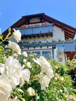 Ferienwohnungen Sichtglück und Sichtwechsel - B&B