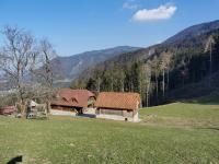APARTMA BREST - B&B
