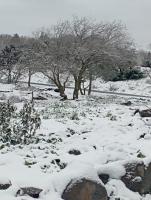 Casa con 2 Camere da Letto