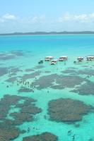 Suite Mar Maragogi - B&B São José da Coroa Grande