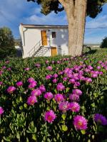 B&B Tocón - Casita of Casa Olivar - Bed and Breakfast Tocón