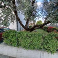 Casa Ciliegi 3 - B&B