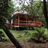 B&B Pucón - Agradable Cabaña inserta en bosque nativo - Bed and Breakfast Pucón