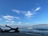 Vila Zini - Bed and Breakfast Vlorë