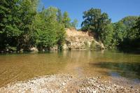 Apartment mit Gartenblick