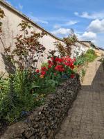 Au chalet d'Illiers Combray, grand jardin arboré - Ferienwohnung Illiers-l'Évêque