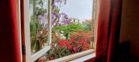 Superior Twin Room with Garden View