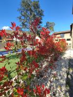 Le 1881 Ampuis - B&B Ampuis