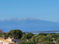 Charmant appartement ! - Chambres d’hôtes Le Barcarès