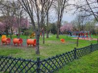 Jókai Apartman Szarvas - B&B