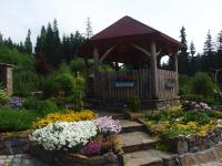 Agroturystyka Pod Danielkami - Bed and Breakfast Danielki