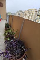 Appartamento per Turisti e Famiglie Roma - B&B