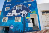 Alojamientos el Bajón - Bed and Breakfast La Restinga