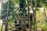 An abundance of wildlife at Jungle Glory Home Abajo - Chambres d'hôtes Manuel Antonio