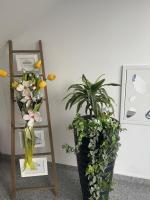 AM Apartments Timisoara - B&B Timişoara