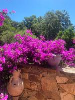 Oasi Verde Acqua - Country Porto Rotondo - Ferienwohnung Porto Rotondo
