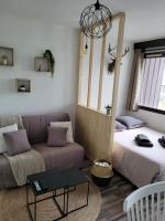 Studio plein centre-ville wifi - Ferienwohnung Gérardmer