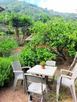 B&B Vernazza - Il limoneto dei Cinque Sensi,apartment with garden - Bed and Breakfast Vernazza