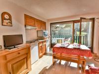 Grizzli- Charmant T2 skis aux pieds, piscine et tennis, accès direct pistes - FR-1-685-57 - Ferienwohnung