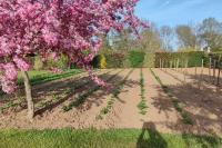 Vacance à la campagne - B&B Saint-Sylvestre-sur-Lot