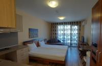 Deluxe Studio met Kingsize Bed