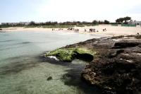 Villa Giulia - B&B Ostuni