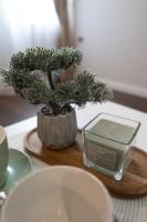 Studio avec Canapé-Lit