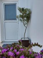 Afandou Square Apartment - B&B