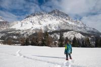 Family Two-Bedroom Apartment with View