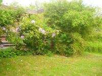 Hus Dungrot - B&B Sankt Peter-Ording