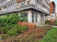 Port Mieszczański parking gratis - B&B Breslavia