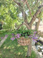 Il trullo felice - Chambres d’hôtes Locorotondo