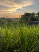 Chambre Double - Vue sur Montagne