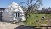 Yurt stay in downtown - B&B
