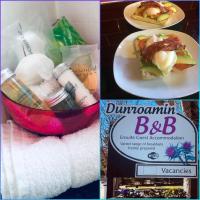 B&B Aviemore - Dunroamin Bed and Breakfast - Bed and Breakfast Aviemore