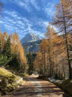 IVONNE - Bed and Breakfast Bovec
