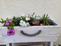 Shalom On The Bay - B&B Ciudad del Cabo