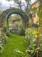 Petrov konak - apartman Aleksandra - B&B Kučevo