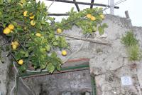 Marella - B&B Minori
