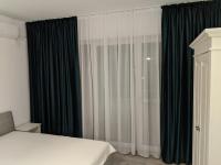 Alina's Deluxe Apartment and free private parking - B&B Dumbrăviţa