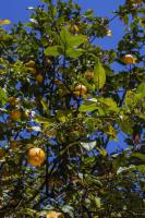 Casa Q Bed & Breakfast - B&B Lecce